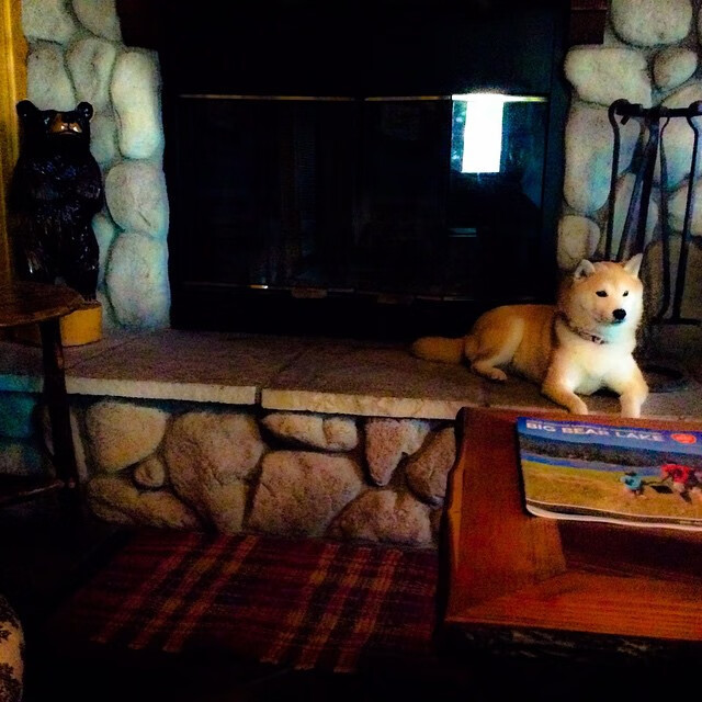 沙尔克球员传球成功率达到 %,展现出色传球技术,沙尔克04免费送球员