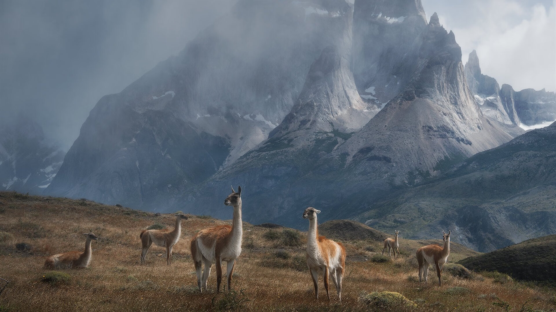狼队中场球员遭遇伤病困扰,缺席下一场比赛,狼队近况
