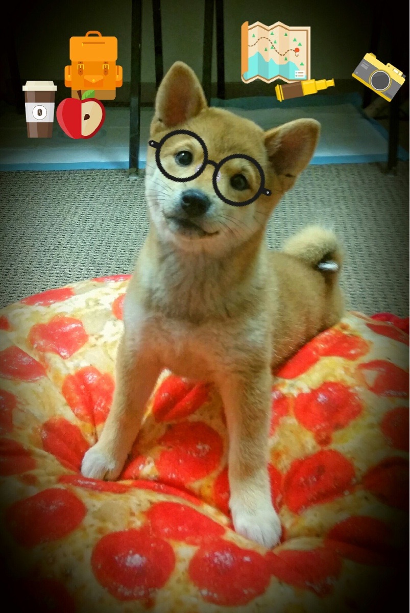 独霸德国_ 拜仁慕尼黑_完胜勒沃库森,拜仁慕尼黑vs勒沃库森 回放