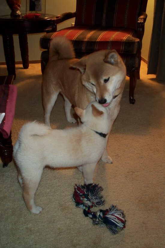 -福莱沙特在客场取胜，豪取保级关键三分，福莱特是什么概念