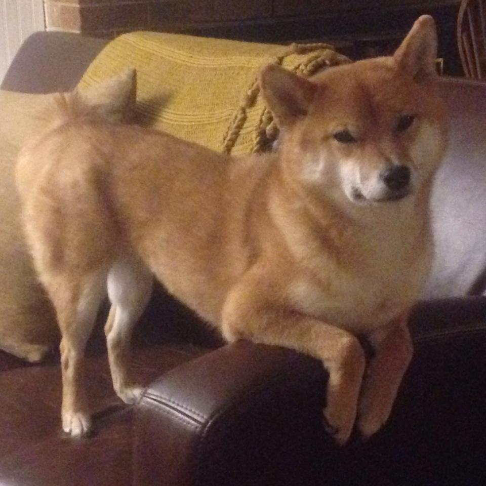 西班牙门将扑救成功率高居奥运首位,匪夷所思!西班牙门将贸然出击 给对手送上