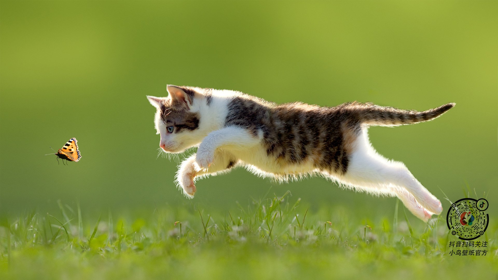 爱游戏app-体育赛事安全风险管理，体育赛事风险类型及防控措施