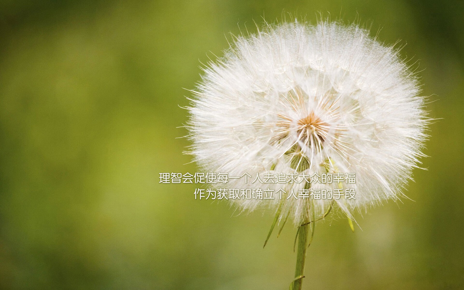 西甲球队赛季中期使用AI预测进攻成功率优化训练内容,西甲技术统计