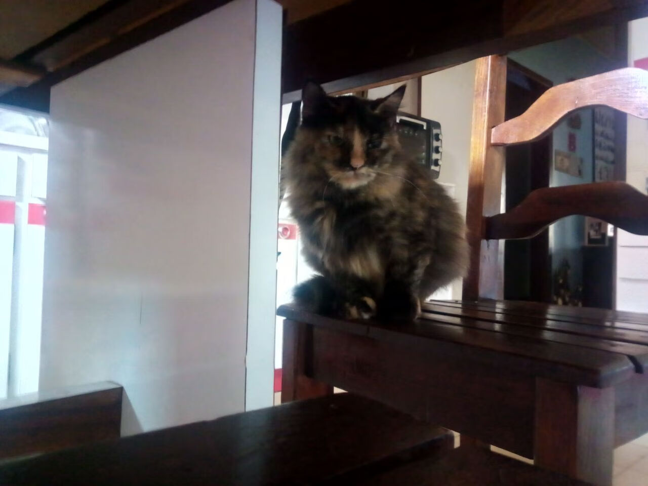 “2025世界运动会:天府校区台球赛事掀起竞技风潮”