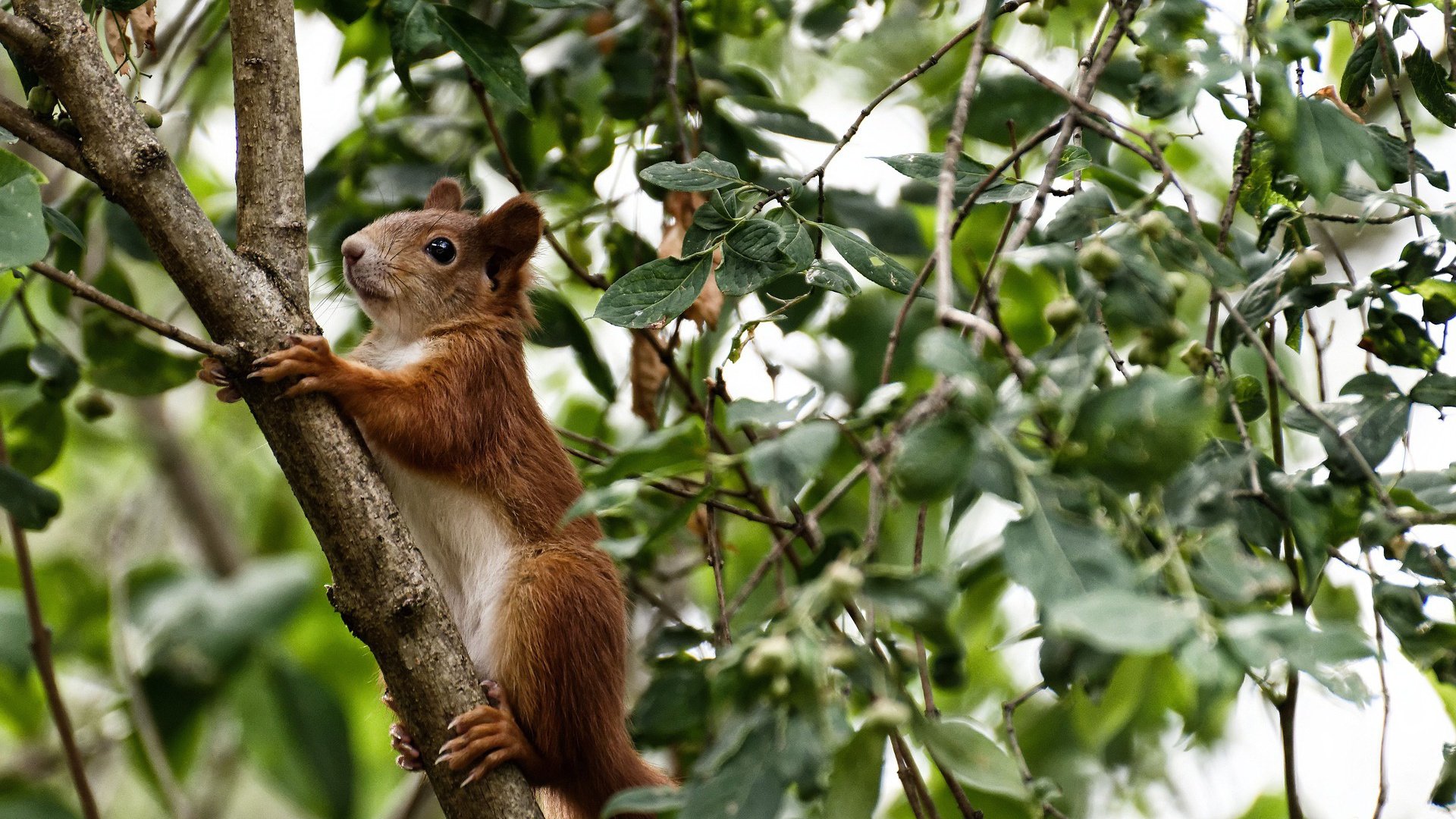 亚冠联赛中国女足平局 球员体能成为关键问题,中国女足体能训练
