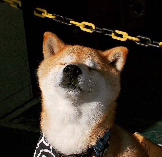 体育新闻中心上线体育赛事舆情监控与风险预警平台,体育舆情与危机管理