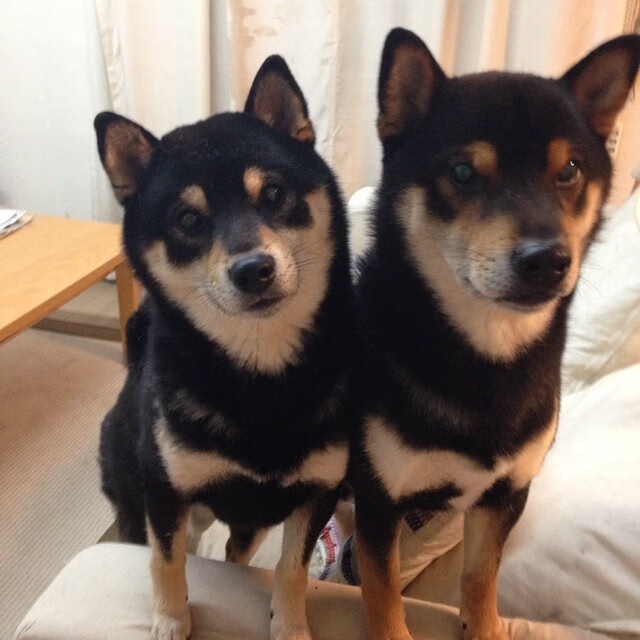 从中超联赛看中国足球 热血走势凸显希望,中超足协杯赛程2021