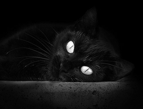 AYX体育官网-中国足球联赛实施裁判辅助教学直播计划，中国足球协会裁判员管理系统