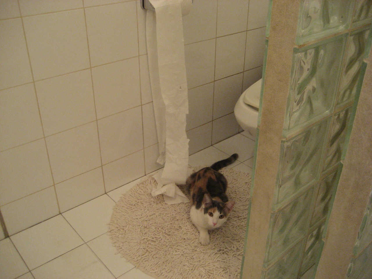 乌干达男篮在非洲预赛中拼搏奋战,迈向新高度,乌干达篮球比赛