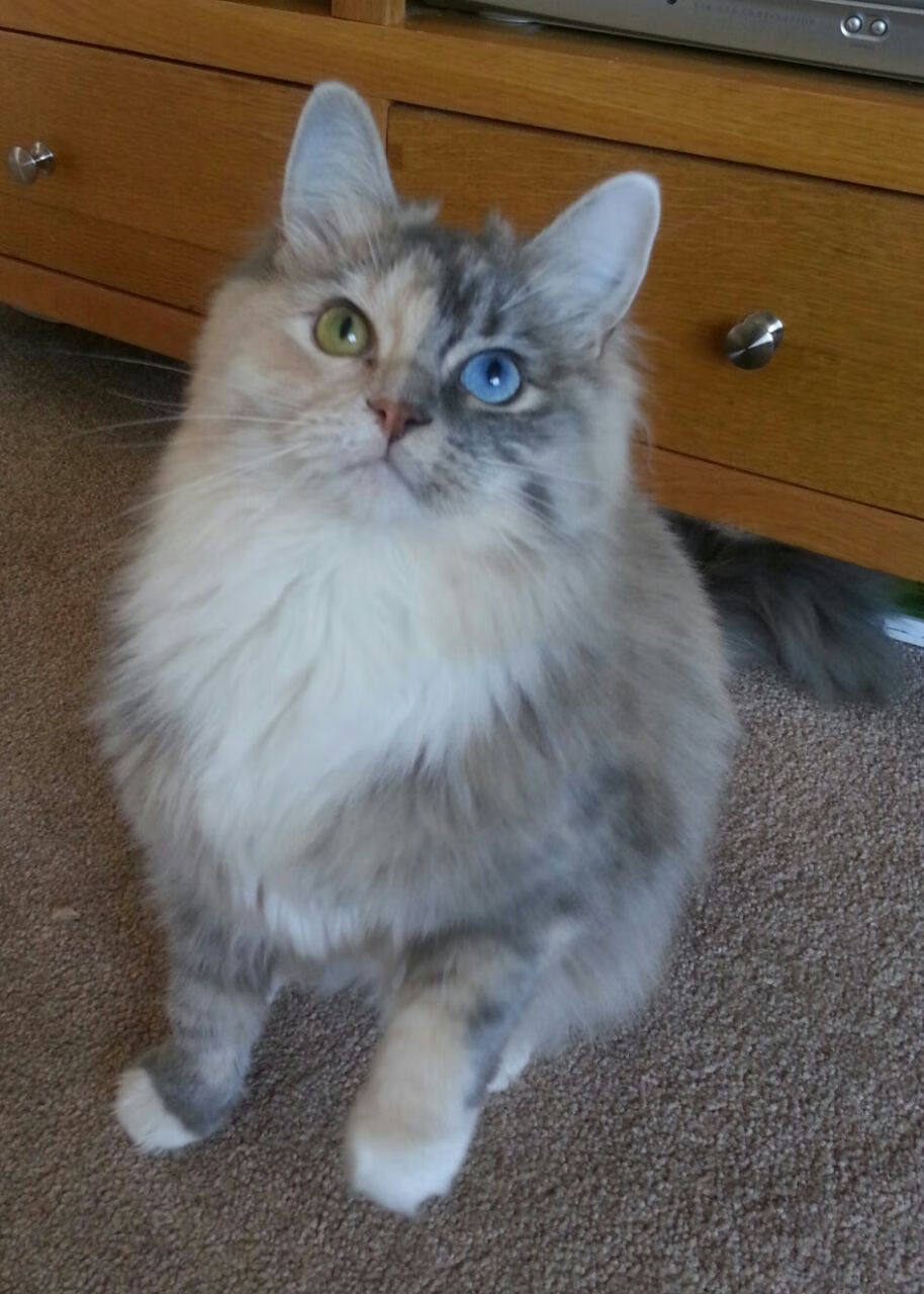 爱游戏-体育纪录片热播带动全民运动热情，体育 纪录片