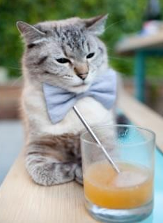 意甲团队协作：默契点燃战场！，意甲队伍