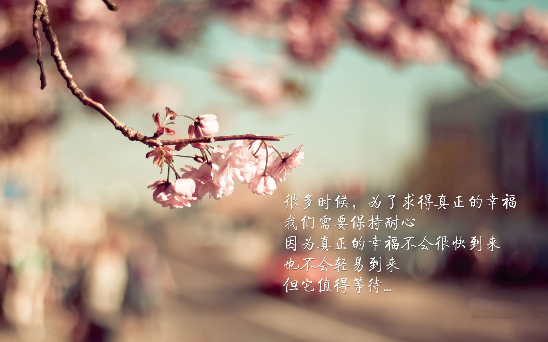 爱游戏中国官方登录入口网站-混合泳中立代表队A选手速度与技巧兼备，混合泳规则