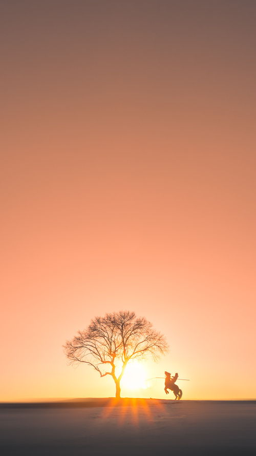 球员跨界综艺节目展现多面魅力吸引大量非体育观众关注,跨界体育明星