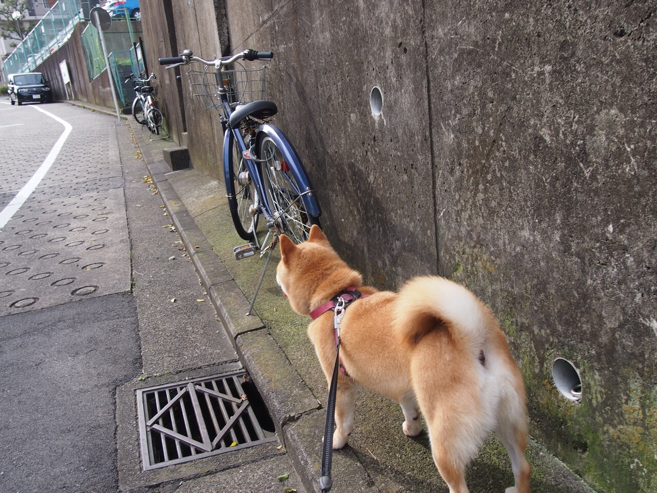 篮球青训推行小组互评制度增强团队协作,篮球团队训练