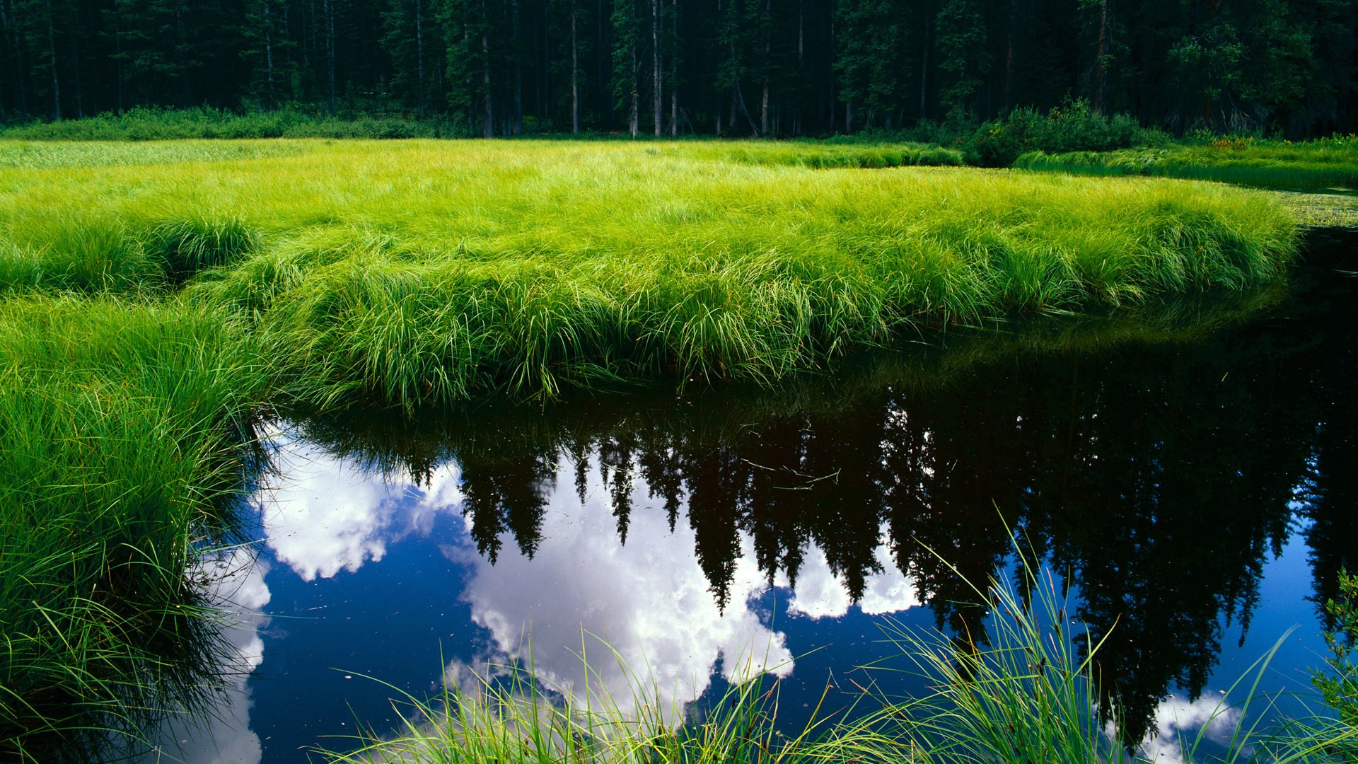谷爱凌强势反弹冬奥会,谷爱凌冬青奥会视频