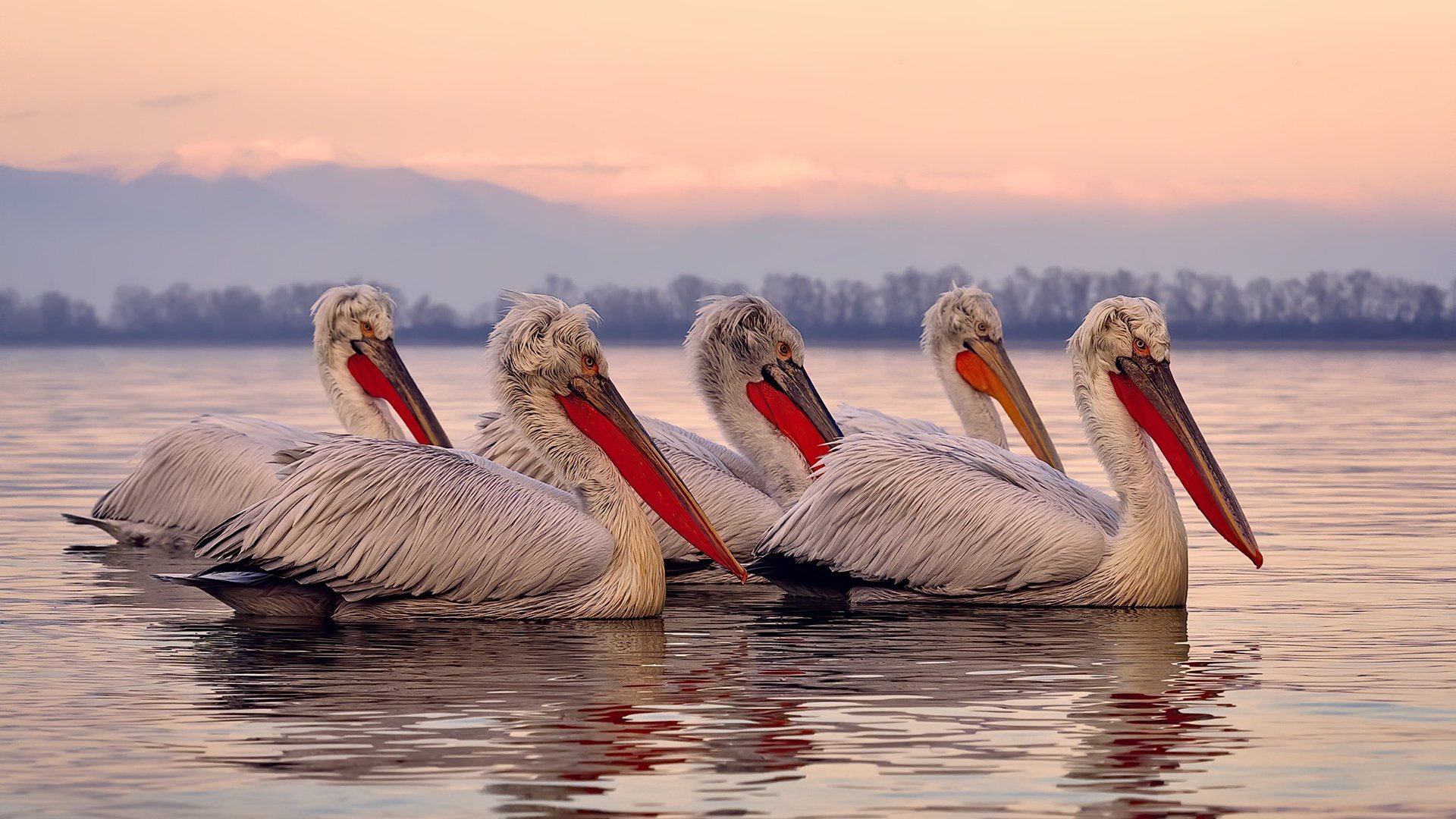 阿森纳青训再传佳音,培养未来的足球明星
