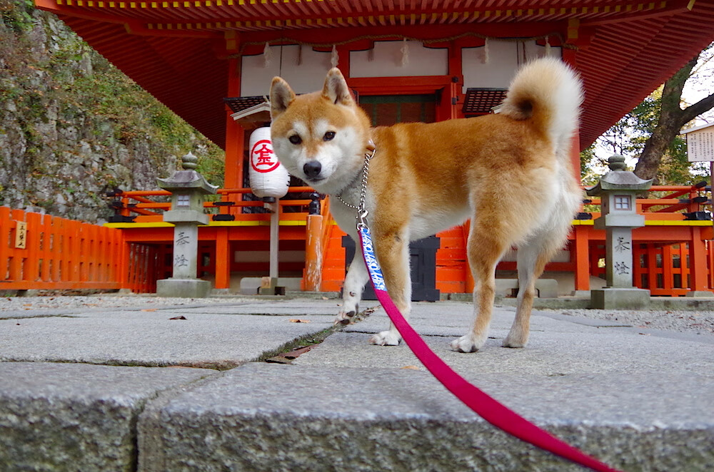 青年队战术变化频繁力求应对不同类型国际强队挑战,青年队队长是谁